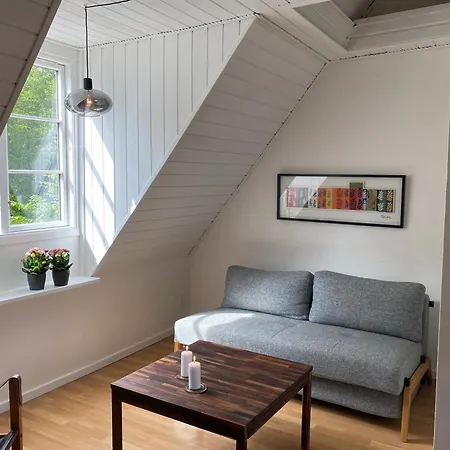 Den Gamle Vandmolle Lägenhet Assens