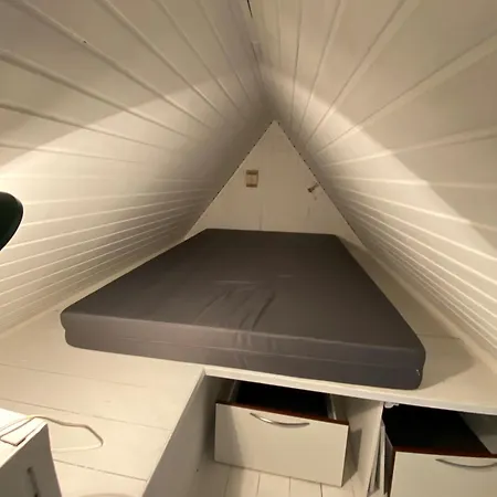 Den Gamle Vandmolle Assens