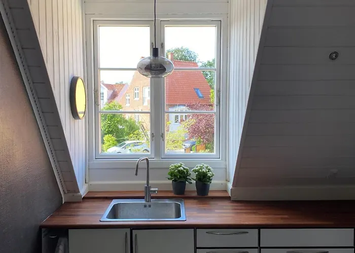 Den Gamle Vandmolle * Assens